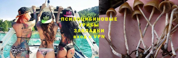PSILOCYBIN Баксан