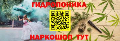 индика Изобильный