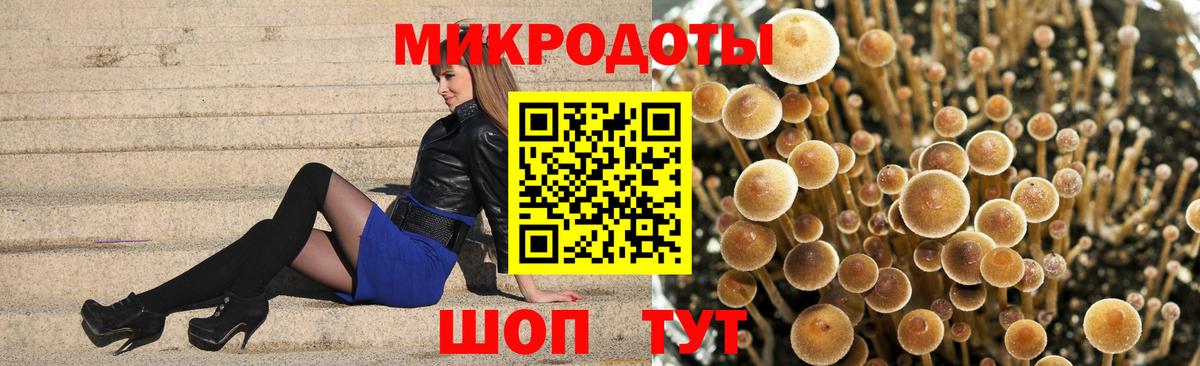 Галлюциногенные грибы Magic Shrooms Нерюнгри