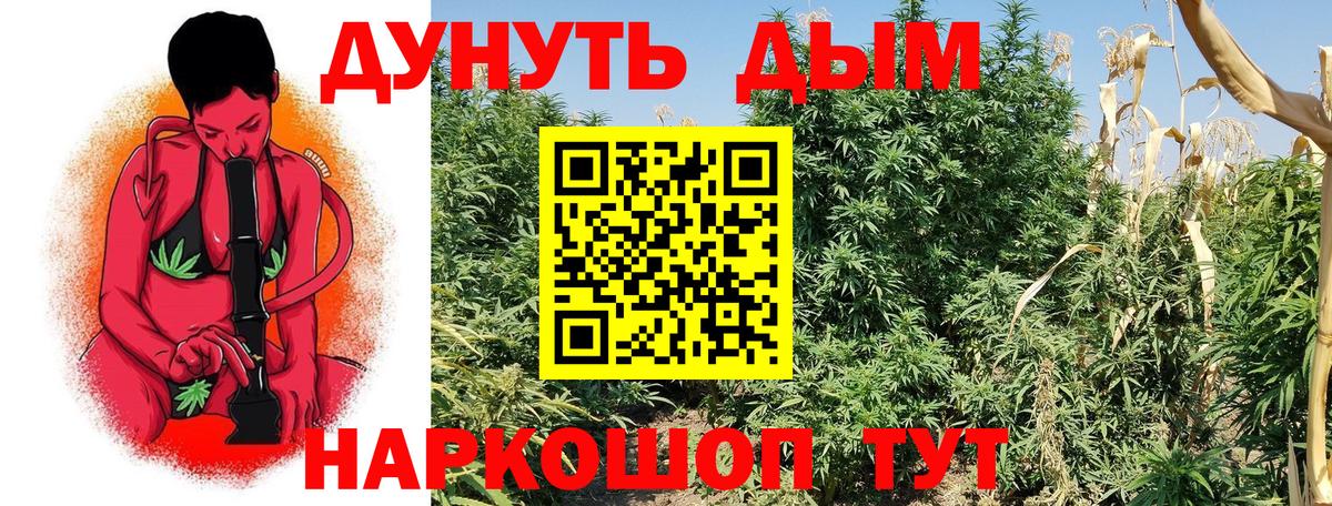 Шишки марихуана THC 21%  МАРИХУАНА Bruce Banner  Вход с VPN  Нерюнгри 